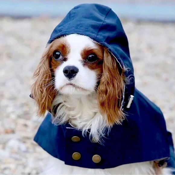 NWT Barkholic Waterproof Rain Jacket - Picture 7 of 7